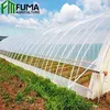 /product-detail/fm-cheap-light-deprivation-tunnel-greenhouse-for-sale-60669501576.html