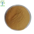 Papaya Extract / Papaya Fruit Leaf Extract Powder
