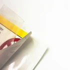 Custom Brand Name Printing Adhesive Paper Stickers Labels