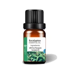 Wholesale Aromatherapy Pure Australian Eucalyptus Oil