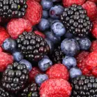 Fresh Taste IQF Frozen Mix Berries Strawberry Raspberry Blackberry Blueberry With High Quality