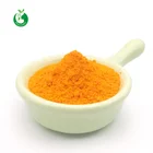 Extract Pure Turmeric Powder Extract Natural Turmeric Extract Pure Curcumin Powder