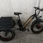 Electric 3 Wheel Electric Trike 750watt 48v 3 3 Wheels Big Fat Tire 4.0 Inch Adult E Trike Electric Cargo Tricycle