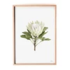 /product-detail/simple-design-8-acrylic-glass-wooden-flower-frame-for-decor-home-bedroom-decoration-creative-wooden-photo-frame-62326649558.html