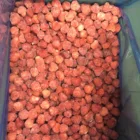 frozen iqf strawberry BRC HALAL HACCP certificates