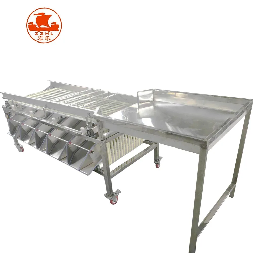 Professional Track Citrus Potato Grading Fruit Roller Sort Machine Sorting Walnuts Sorter Machine details