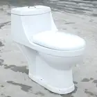 Floor Mounted Ceramic Washdown One Piece Wc Toilet Bathroom