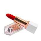 Private label super stay matte long lasting moisture healing lipstick waterproof
