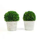 Suwning indoor artificial small potted boxwood plants bonsai tree