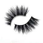 tool set cosmetic glue blank eyelash box Qnour