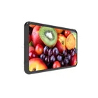 IP68 Fanless cooling wall mount digital signage outdoor display LCD advertising players