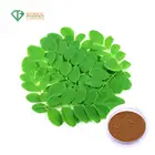 Leaf Malunggay Moringa Powder Pure Natural Organic Moringa Oleifera Leaf Extract 20 1 Malunggay Moringa Leaf Powder