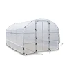 /product-detail/cheap-price-plastic-film-tunnel-greenhouse-for-sale-tunnel-plastic-pe-flim-greenhouse-for-vegetables-flower-62331264556.html