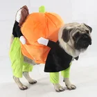 Pet Halloween clothes costumes Apparel for dog and cat