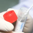 Gauze Sterile Nasal Swabs Nasal Sterile Gauze Test Flocked Sample Collection Specimen Swab