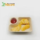 Compostable Sugarcane Bagasse Container Unbleached Natural Biodegradable Trays
