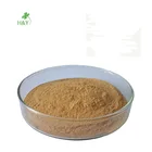 Drum Moringa Leaf High Quality Moringa Leaf Extract Powder 20:1