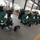 Cummins Generator Diesel Cumminscummins Genuine Cummins 4B3.9-G1 Industry Generator 35kVA Cummins Diesel Generator