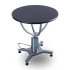 Non-slip Rubber Mesa Metal Edging Hydraulic Pump Lift Beauty Table Pet Grooming Table