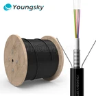 Psp PSP Protection Steel Wire Armoured Gyxtw Outdoor Fiber Optic Cable