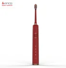 Adult auto models high quality USB Rechargeable electric toothbrush sonic vibration toothbrush china factory OEM HL-618A