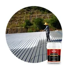 Heat Reflective Thermal Insulation Coating Paint