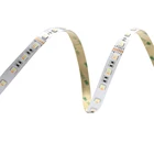 Led Strip Led Led Strip SMD5050 RGBWW Led Strip DC24V 60led 5meter Waterproof IP67 Remote Controller