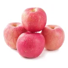 Fresh fruits apples chinese luochuan famous solid pack apples