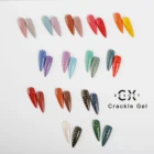 Nail Color 28 Colors Nail Gel Nail Caixuan Beauty Crack Gel Crackle Nail Gel Color Gel