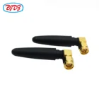 Customsized Service Support 2.5DBi 3DBi Wifi Antenna Router Wifi Antenna Booster Signal Booster GSM SMA Antenna