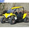 AGY 2 seats 150cc buggy for adults