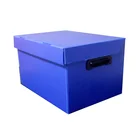 Custom Twin Wall Collapsible Pp Corrugated Container Coroplast Coreflute Plastic Storage Box Shelf Bin