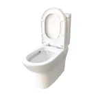 Ceramic P trap washdown 2 piece toilet S-trap siphon rimless two piece toilet