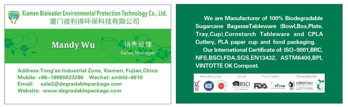 Custom Disposable Biodegradable PLA Paper Cup (8oz / 260ml)