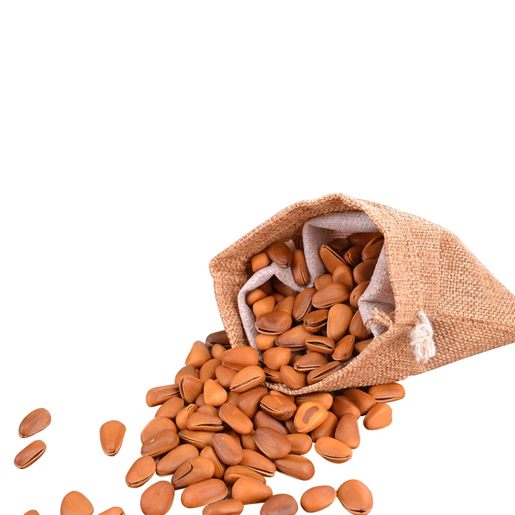 chinese suppliers pine nuts, pecan nuts, pine kernels