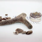 Product Free Shipping/100g 30% Deer Velvet Round Slice Healthcare Product Factory Wholesale