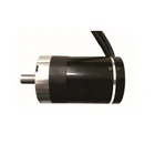 Dc Motor Swing DC 100W BLDC Planetary 60mm Brushless Servo Motor For Swing Gate Speed Gate With Gear Ratio 1:38