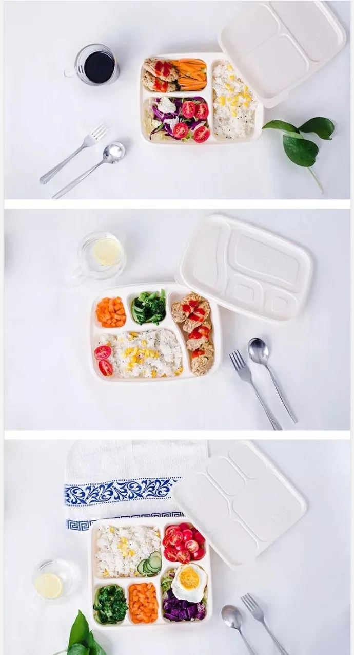 Chine Bagasse Plateaux Fabricant Boîtes à emporter