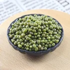 Mung Beans For Sale Good Quality 2020 Crop Green Mung Beans For Sale