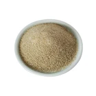 Factory Direct Sale Food Additives Brown Sodium Alginate