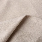 Factory Sell Suede Fabric OEM Accept Warp Knitted Fabric in Hot Sale