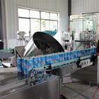 Complete Automatic Aerosol Filling Machine