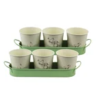 BX factory hot sale metal garden window herb garden planter pot