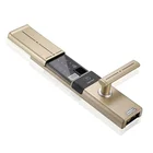 Fashion Security Smart Biometric Fingerprint Handle Door Lock