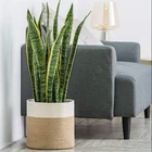 QJMAX Flower Pot Cover Custom Collapsible Cotton Rope Plant Basket With Handles