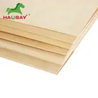 Hot Sale Popular Design Bulk Birch 10MM Plywood