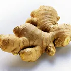 Extract Black Ginger Root Extract Black Ginger Extract 5% Pure Ginger Extract