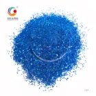 GH1401S Hotsale Bright Polyester Meteor Royal Blue Glitter Powder For Craft DIY Cosmetic