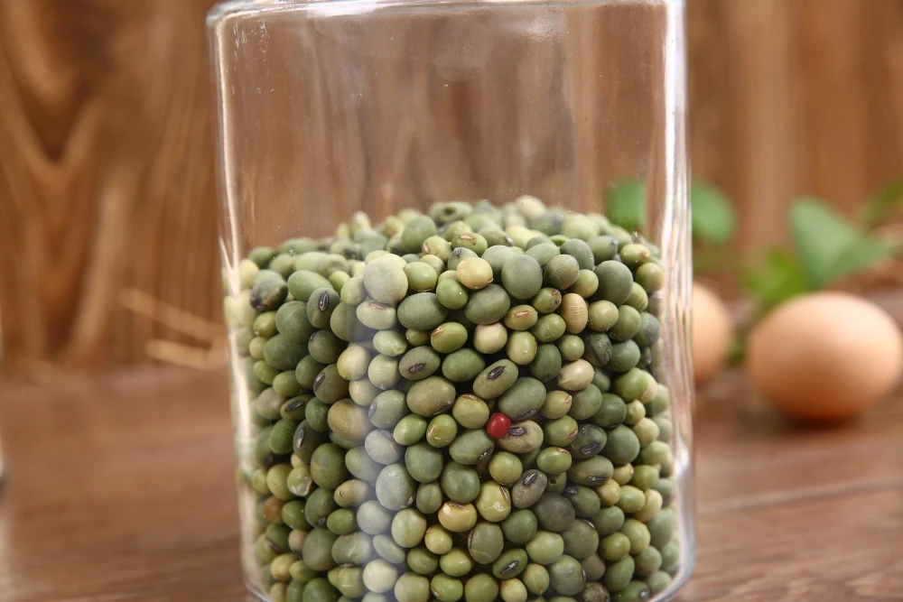 olive oil price in india