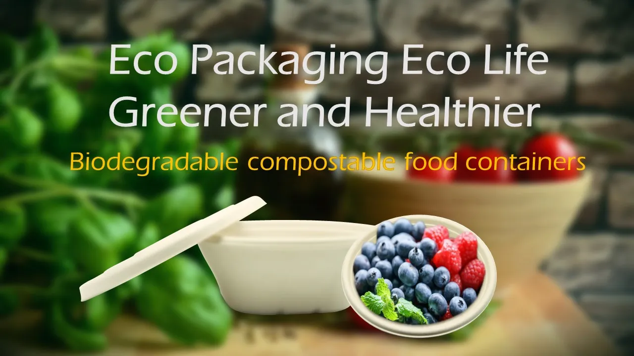 Disposable Biodegradable Microwavable Bagasse Takeout Food Container